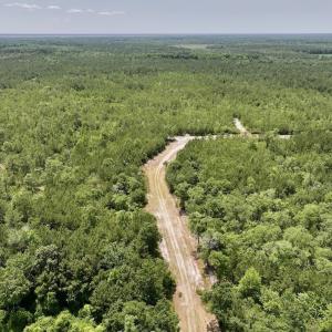 Photo #25 of Off Highway 306, Grantsboro, NC 704.0 acres