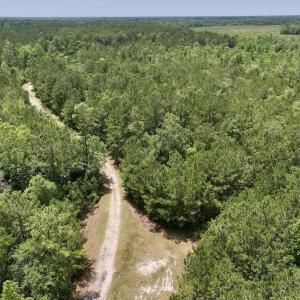 Photo #26 of Off Highway 306, Grantsboro, NC 704.0 acres