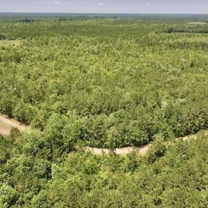 Photo #28 of Off Highway 306, Grantsboro, NC 704.0 acres