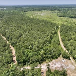 Photo #29 of Off Highway 306, Grantsboro, NC 704.0 acres