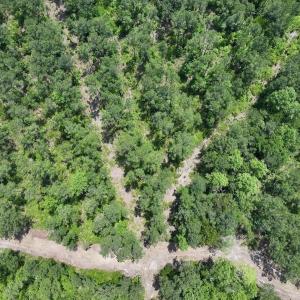 Photo #30 of Off Highway 306, Grantsboro, NC 704.0 acres