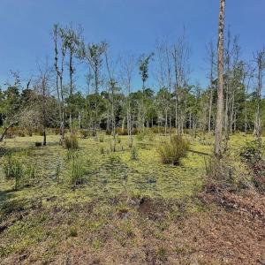 Photo #31 of Off Highway 306, Grantsboro, NC 704.0 acres