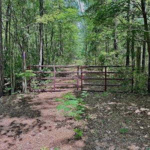 Photo #32 of Off Highway 306, Grantsboro, NC 704.0 acres