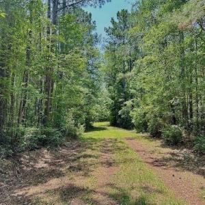Photo #33 of Off Highway 306, Grantsboro, NC 704.0 acres