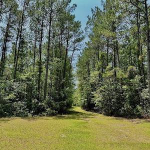 Photo #34 of Off Highway 306, Grantsboro, NC 704.0 acres