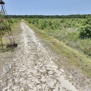 Photo #35 of Off Highway 306, Grantsboro, NC 704.0 acres