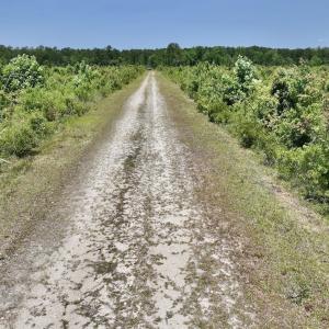 Photo #36 of Off Highway 306, Grantsboro, NC 704.0 acres