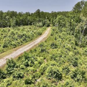 Photo #39 of Off Highway 306, Grantsboro, NC 704.0 acres