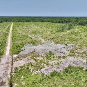 Photo #40 of Off Highway 306, Grantsboro, NC 704.0 acres