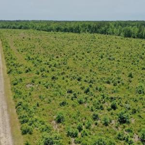 Photo #41 of Off Highway 306, Grantsboro, NC 704.0 acres