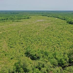 Photo #42 of Off Highway 306, Grantsboro, NC 704.0 acres