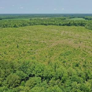 Photo #43 of Off Highway 306, Grantsboro, NC 704.0 acres