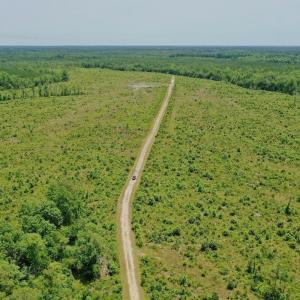 Photo #44 of Off Highway 306, Grantsboro, NC 704.0 acres