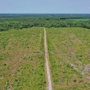 Photo #45 of Off Highway 306, Grantsboro, NC 704.0 acres