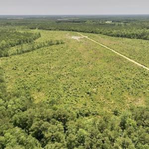 Photo #46 of Off Highway 306, Grantsboro, NC 704.0 acres