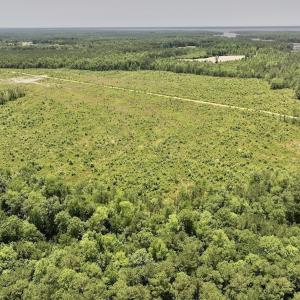 Photo #47 of Off Highway 306, Grantsboro, NC 704.0 acres