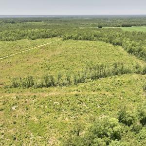 Photo #48 of Off Highway 306, Grantsboro, NC 704.0 acres