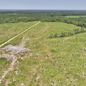 Photo #49 of Off Highway 306, Grantsboro, NC 704.0 acres