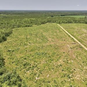 Photo #50 of Off Highway 306, Grantsboro, NC 704.0 acres