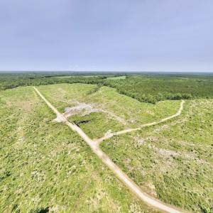 Photo #52 of Off Highway 306, Grantsboro, NC 704.0 acres