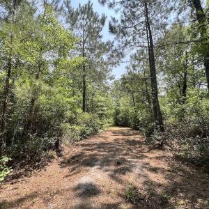 Photo #56 of Off Highway 306, Grantsboro, NC 704.0 acres