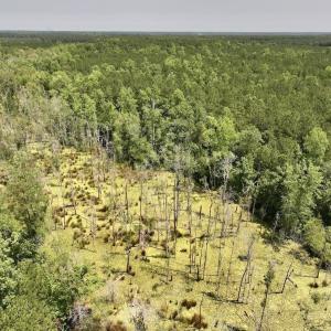 Photo #58 of Off Highway 306, Grantsboro, NC 704.0 acres