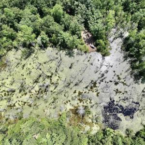 Photo #59 of Off Highway 306, Grantsboro, NC 704.0 acres