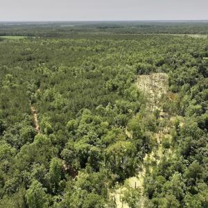 Photo #61 of Off Highway 306, Grantsboro, NC 704.0 acres