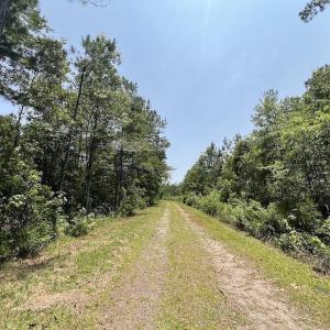 Photo #66 of Off Highway 306, Grantsboro, NC 704.0 acres