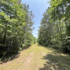 Photo #67 of Off Highway 306, Grantsboro, NC 704.0 acres