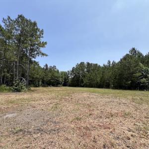 Photo #68 of Off Highway 306, Grantsboro, NC 704.0 acres