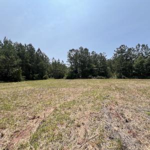 Photo #69 of Off Highway 306, Grantsboro, NC 704.0 acres