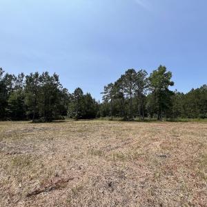 Photo #70 of Off Highway 306, Grantsboro, NC 704.0 acres