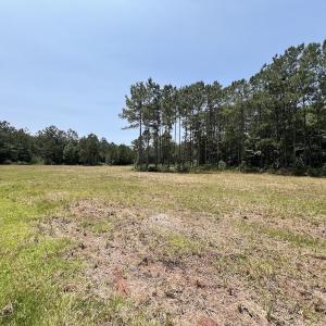 Photo #71 of Off Highway 306, Grantsboro, NC 704.0 acres
