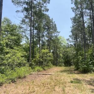 Photo #73 of Off Highway 306, Grantsboro, NC 704.0 acres