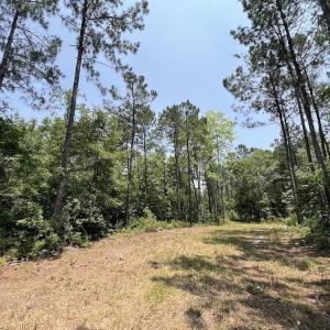 Photo #74 of Off Highway 306, Grantsboro, NC 704.0 acres