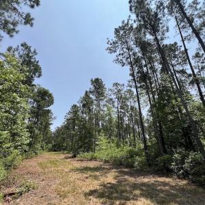 Photo #75 of Off Highway 306, Grantsboro, NC 704.0 acres