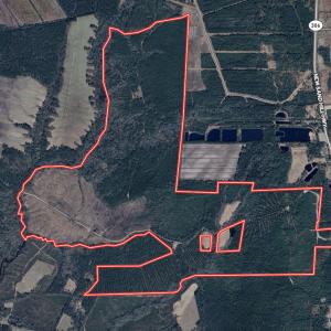 Photo #77 of Off Highway 306, Grantsboro, NC 704.0 acres