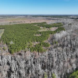Photo #1 of Off Middle Swamp Rd, Corapeake, NC 234.4 acres