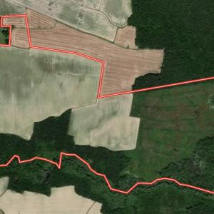 Photo #2 of Off Middle Swamp Rd, Corapeake, NC 234.4 acres