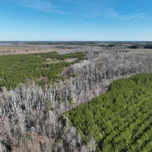 Photo #3 of Off Middle Swamp Rd, Corapeake, NC 234.4 acres