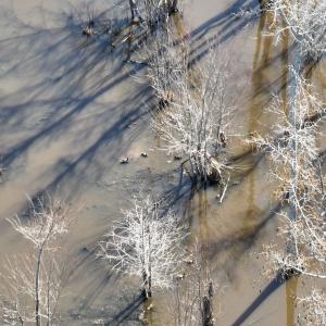 Photo #7 of Off Middle Swamp Rd, Corapeake, NC 234.4 acres