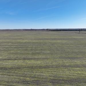 Photo #10 of Off Middle Swamp Rd, Corapeake, NC 234.4 acres