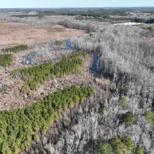 Photo #21 of Off Middle Swamp Rd, Corapeake, NC 234.4 acres