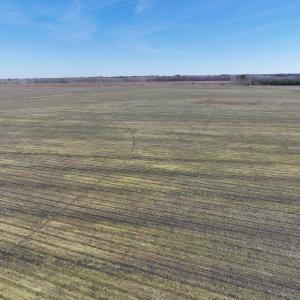 Photo #25 of Off Middle Swamp Rd, Corapeake, NC 234.4 acres
