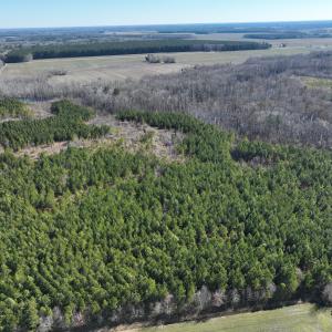 Photo #26 of Off Middle Swamp Rd, Corapeake, NC 234.4 acres