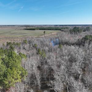 Photo #12 of Off Middle Swamp Rd, Corapeake, NC 234.4 acres