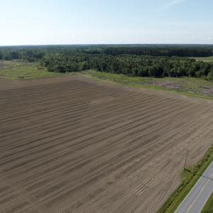 Photo #28 of Off Middle Swamp Rd, Corapeake, NC 234.4 acres