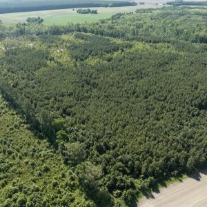 Photo #37 of Off Middle Swamp Rd, Corapeake, NC 234.4 acres