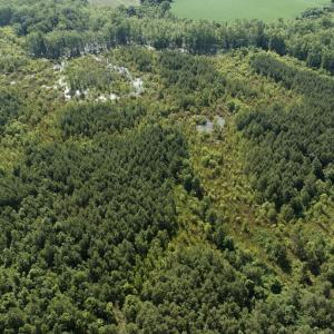 Photo #38 of Off Middle Swamp Rd, Corapeake, NC 234.4 acres